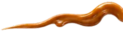 キャラメル